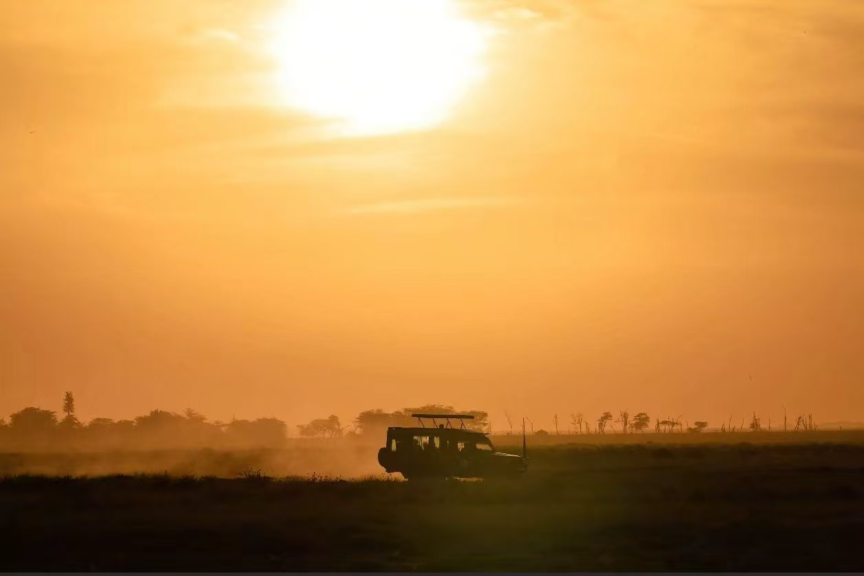 Sunset safari vehicle